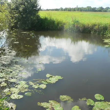 De L'aure *