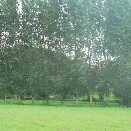 De L'aure